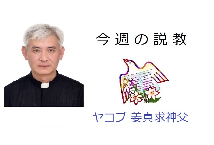 姜真求神父 諸聖人（年間第３１主日）の説教です。 - カトリック二俣川教会公式サイト